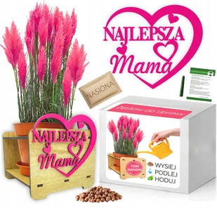 Zestaw do Uprawy TRAWA PAMPASOWA Dzień Matki Mamy - Nasiona i cebule - miniaturka - grafika 1