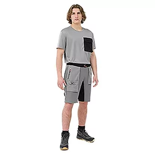 4F Spodenki męskie FNK, Middle Grey, L - Spodenki męskie - miniaturka - grafika 1