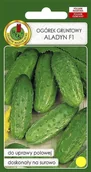 Nasiona i cebule - Ogórek gruntowy Aladyn F1 100 g PNOS - miniaturka - grafika 1
