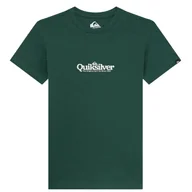 Koszulki męskie - t-shirt QUIKSILVER FINELINE TKR/TREKKING GREEN - miniaturka - grafika 1