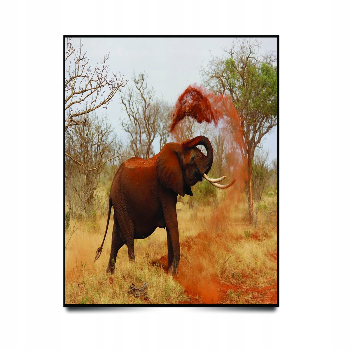 PODKŁADKA POD MYSZ Nadruk 22x18 cm Pejzaż Krajobraz Afryka Słoń Prezent