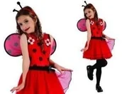 Zabawy w naśladowanie dorosłych - Madej Strój w kształcie biedronki rozmiar S 110-120cm - miniaturka - grafika 1