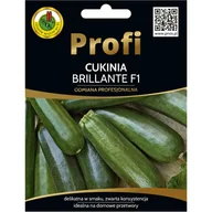 Nasiona i cebule - Dynia zwyczajna Cukinia Brillante nasiona 15szt. Pnos - miniaturka - grafika 1