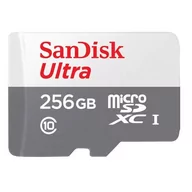 Karty pamięci - SanDisk ULTRA ANDROID microSDXC 256 GB 100MB/s Class 10 UHS-I KARTA SDSQUNR-256G-GN3MN - miniaturka - grafika 1