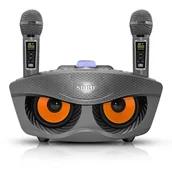 Instrumenty muzyczne dla dzieci - Karaoke SD306 PLUS 30W bezprzewodowe - miniaturka - grafika 1