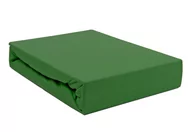 Prześcieradła - Prześcieradło Jersey 70x140 z gumką kaktus Darymex - miniaturka - grafika 1