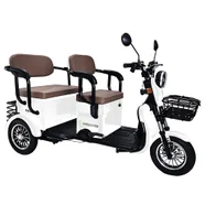 Freejoyer FV6 Max Electric Tricycle 1800W Motor 72V 20Ah Battery 10*3 inch Tire 25km/h Max Speed 60km Range Front Disc Br