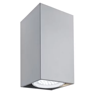 Argon Plafon Oprawa sufitowa TYBER3 LED 3093 1pł Szary - Lampy sufitowe - miniaturka - grafika 1