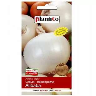 Plantico Cebula Alibaba - Nasiona i cebule - miniaturka - grafika 1