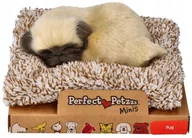 Maskotki i pluszaki - Mały szczeniaczek Mops Perfect Petzzz - miniaturka - grafika 1