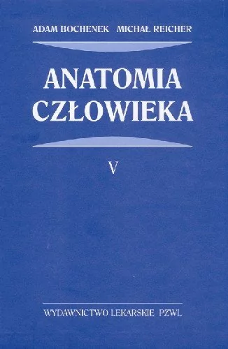 Wydawnictwo Lekarskie PZWL Anatomia człowieka - Adam Bochenek, Michał Reicher