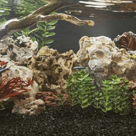 Pozostałe ozdoby ogrodowe - vidaXL Kamienie dragon stone, 25 kg, szare, 10-40 cm - miniaturka - grafika 1