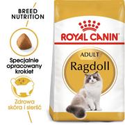 ROYAL CANIN Ragdoll Adult 2kg + niespodzianka dla kota GRATIS!