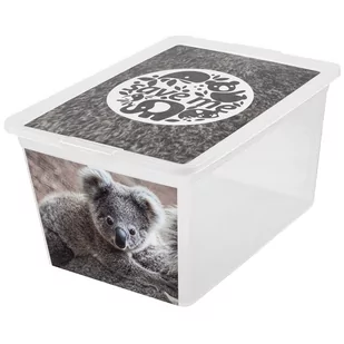 Pojemnik do przechowywania X Box Deco koala 30 l BRANQ - Pojemniki kuchenne - miniaturka - grafika 1