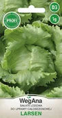 Nasiona i cebule - Sałata Larsen 1g nasiona - WegAna - miniaturka - grafika 1