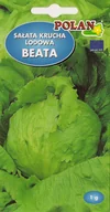 Nasiona i cebule - Sałata Beata 1 g POLAN - miniaturka - grafika 1