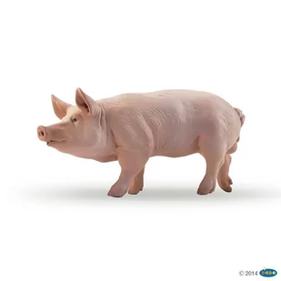 Papo Świnia (51044) - Figurki dla dzieci - miniaturka - grafika 1