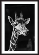 Puzzle - PUZZLE Natura Żyrafa Zwierzęta A3 252 el z Nadrukiem + IMIĘ Pudełko - miniaturka - grafika 1