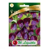 Nasiona i cebule - Legutko Groszek pachnący MATUCANA nasiona tradycyjne 5 g - miniaturka - grafika 1