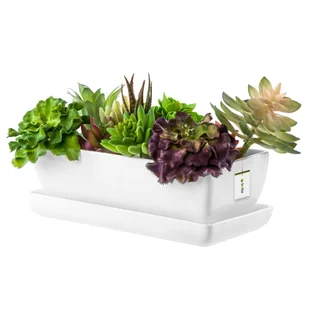 Kaktusiarka doniczka Ceramika biała połysk 29cm podstawka sukulenty kaktusy - Donice - miniaturka - grafika 1