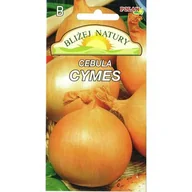 Nasiona i cebule - Cebula Cymes 2 g - miniaturka - grafika 1