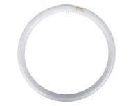 Żarówki tradycyjne - Świetlówka kołowa G10q 40W 830 3000K Tle ciepłobiała 8711500284761 - miniaturka - grafika 1