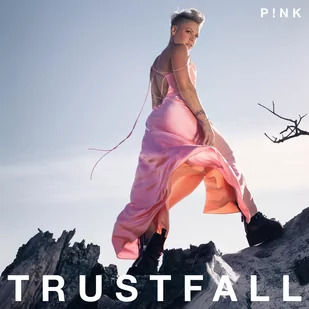 Trustfall - Rock - miniaturka - grafika 1