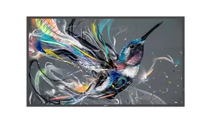 Philips Q-Line 32BDL3511Q/00 - Monitory reklamowe i wyświetlacze - miniaturka - grafika 1