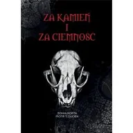 Fantasy - Za kamień i za ciemność - miniaturka - grafika 1