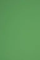 Dekoratorstwo - Papier brystol kolorowy 230g R78 zielony A3 10ark - miniaturka - grafika 1