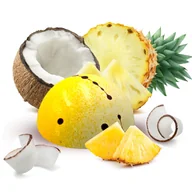 Bombonierki i czekoladki - Ananas z kokosem - miniaturka - grafika 1