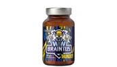 Układ nerwowy - Braintus Thunder na prawidłowe funkcjonowanie układu nerwowego OstroVit - miniaturka - grafika 1