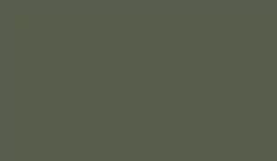 FOSCO - Farba do maskowania RAL 6003 - DDR Green - Odzież taktyczna i umundurowanie - miniaturka - grafika 1