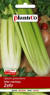 Plantico Seler naciowy Zefir - Nasiona i cebule - miniaturka - grafika 1
