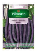 Nasiona i cebule - Fasola szparagowa Amethyst 30 g Vilmorin - miniaturka - grafika 1