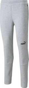 Puma Spodnie Puma teamFinal Casuals Pants M 657386 33, Rozmiar: S - Spodnie sportowe męskie - miniaturka - grafika 1