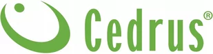 CEDRUS PS50-18T  - Piły spalinowe - miniaturka - grafika 4
