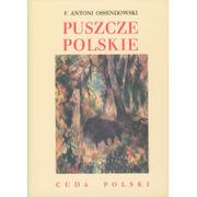 Książki podróżnicze - LTW Puszcze polskie. Cuda Polski - Ferdynand Antoni Ossendowski - miniaturka - grafika 1