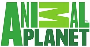 Animal Planet Figurka Figurka Deinonych 313079-uniw - Figurki dla dzieci - miniaturka - grafika 1