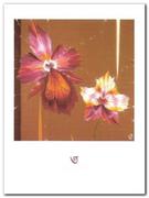 Plakaty - Orchids & Seeds plakat obraz 60x80cm - miniaturka - grafika 1