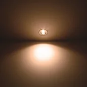 Oprawy, klosze i abażury - Philips Dive wpuszczany LED IP65 okrągły srebrny - miniaturka - grafika 1