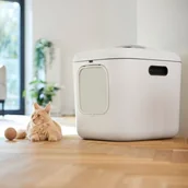 Kuwety dla kotów - Rotho kuweta BIALA XL - kol.biały - miniaturka - grafika 1