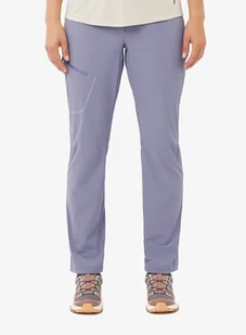 Spodnie turystyczne damskie Salomon Wayfarer Pants - blue granite - Odzież trekkingowa damska - miniaturka - grafika 1