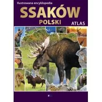 Fenix Ilustrowana encyklopedia ssaków Polski - Fenix - Encyklopedie i leksykony - miniaturka - grafika 1