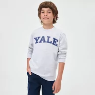 Swetry dla chłopców - Sinsay - Bluza Yale - Jasny szary - miniaturka - grafika 1