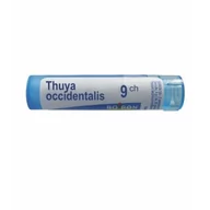 Homeopatia - Boiron Thuya occidentalis, 9 CH, gran., 4 g,(MZ19335) 3080141 - miniaturka - grafika 1