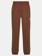 Spodnie sportowe damskie - Reebok Spodnie dresowe Cl Ae Pant 100202799 Brązowy Regular Fit - miniaturka - grafika 1