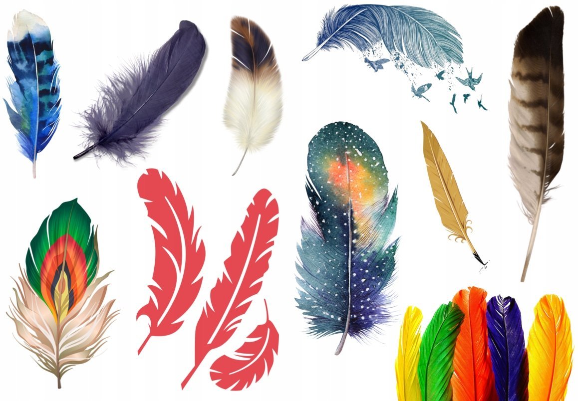 TATUAŻE ZMYWALNE DLA DZIECI PIÓRA DUŻY WYBÓR WZORÓW