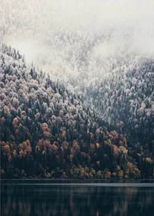 HAFT DIAMENTOWY Diamond Painting Mozaika Zestaw 5D - Zabawki kreatywne - miniaturka - grafika 1