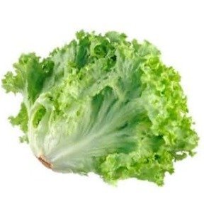 SAŁATA KARBOWNA ZIELONA